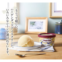 ハーゲンダッツ ジャパン ハーゲンダッツミニカップ8個セット HD40L 1セット(8個入)（直送品）