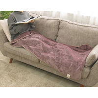 電響社 ZEPEAL 電気ひざ掛け毛布 LC DM-Y10FHN-LC 1個（直送品）