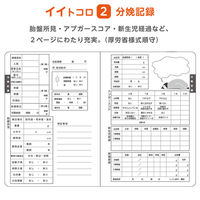 イトマン 10冊 母性看護実習ノート【看護学生/産科/助産師】 80001016 1袋(10冊入)（直送品）