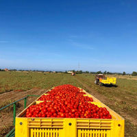 IMCA ラベリンダ トマト缶 カット 400g 1セット（1個×5）ACトレーディング