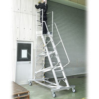 ピカコーポレイション アルミ製移動式作業台 DWS-D240BTF 1式（直送品）