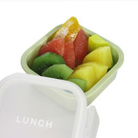 イエロースタジオ 弁当箱 time for LUNCH マルチケース 保存容器 レッド 491064 1個（直送品）