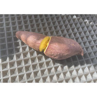 トレードワン ヘルシーシリコンマット 493826 1個（直送品）