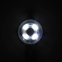 ルークラン ライト 散歩 犬 ループセイフ ウルトラLED ブラック 495833 1個（直送品）