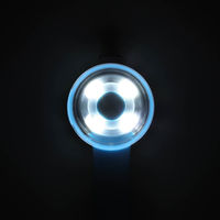 ルークラン ライト 散歩 犬 ループセイフ ウルトラLED ブルー 495835 1個（直送品）