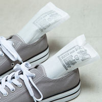 アストロ 消臭 吸湿 桐の炭 S 2個セット 616-52 1セット(2個)（直送品）