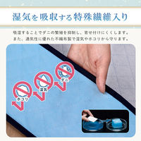 アストロ 吸湿防ダニ着物収納ケース 616-42 1個（直送品）