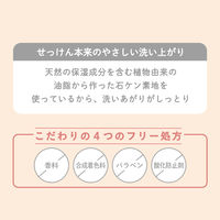 無添加生活 無添加抹茶配合 生せっけん 80g 無香料 マックス