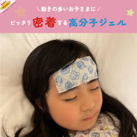 アンパンマン　お熱とろーね 1セット(48;12+4枚入×3箱)　冷却シート　キャラクター　弱酸性　子供用　池田模範堂