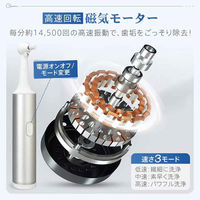 万方商事 電動歯ブラシ USB充電式 tkcc002 1台（直送品）