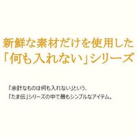 何も入れない サーモンだけのたまの伝説 国産 35g 6袋 三洋食品 キャットフード 猫用 ウェット パウチ