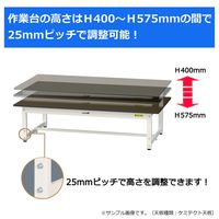 実験用作業台/耐荷重150kg 高さ調整低床用H400~575mm 半面棚付き 耐薬品ケミテクト天板 ワークテーブルLABシリーズ SLKA（直送品）
