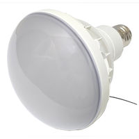 東京メタル 屋外レフ型LEDランプ LDR30NE39-TM 1個（直送品）