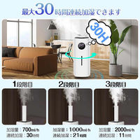 ケイ・エス・ケイ 21L 超音波加湿器 BE-J001 1台（直送品）