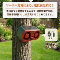 高感度赤外線搭載ソーラーアラーム 1個 防犯アラーム 人感センサー ソーラー 防獣 防犯 害獣撃退器 SSA02 EVERSAFE（直送品）