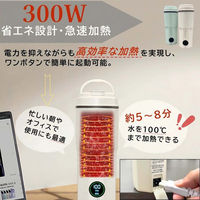 ケイ・エス・ケイ ポータブル電気ケトル(グリーン) 400ml LW-K03S 1台（直送品）