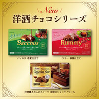 チョコレート菓子 洋酒薫る大人のスイーツ　深夜のショコラノワール　10粒入 1セット(1個×9)