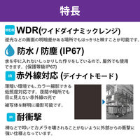 【アウトレット】DXアンテナ 防犯カメラ 監視カメラ PoE給電 固定焦点 ドーム型 屋外 防水防塵 200万画素 CNE3CDF1