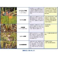 住友化学 ダコレート水和剤 100g #2056772 1袋（直送品）