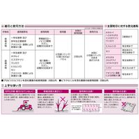 住友化学 メガゼータジャンボ 400g #2056820 1袋（直送品）