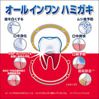 医薬部外品 カムテクト コンプリートケアEX 口臭予防 歯周病（歯肉炎・歯槽膿漏）予防 メディカルハーブ 105gHaleonジャパン歯磨き粉