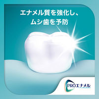 医薬部外品 シュミテクト PROエナメル やさしくホワイトニング エナメルケア 歯磨き粉 90g 1本 Haleonジャパン