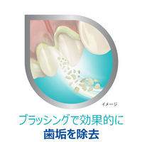 ポリデント デンタルラボ 薬用ハミガキ【医薬部外品】 歯周病 (歯肉炎・歯槽膿漏) 予防 100g Haleonジャパン