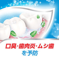 歯磨き粉 アクアフレッシュ クリアミント 140g Haleonジャパン