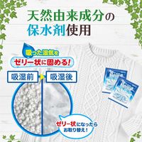 ドライ&ドライUP 除湿剤 シートタイプ 引き出し・衣装ケース用 12シート入 1個 白元アース