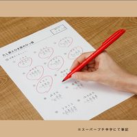 パイロット サインペン スーパープチ中字 レッド SEG-10M-R 1本