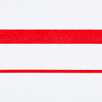 パイロット 油性ツインマーカー 細・太 レッド MFN-15FB-R 1箱(10本入)