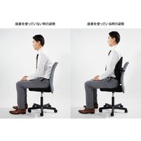 エスビーリビング カラダファクトリー 腰椎サポートクッション 座善（The Zen） 400×140×400mm KF-625242 1個（直送品）