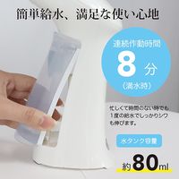 SIS ハンディスチーマー パワフル アタッチメント付き 80ml ハンガーに掛けたまま シワ伸ばし MW-803 1台