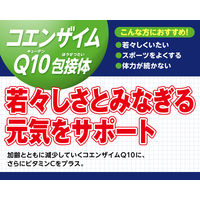 DHC コエンザイムQ10包接体（90日分） 1セット（1袋（180粒）×5） ディーエイチシー サプリメント