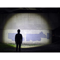 ジェントス Gシリーズ　高出力ハイブリッドLEDヘッドライト 200 GH-200RG 1個