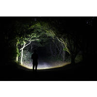 ジェントス REXEED 充電式ハンディライト 286R RX-286R 1個