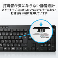 ワイヤレスキーボード 無線 静音 フルサイズ 抗菌 メンブレン ブラック TK-FDM116SKTBK エレコム 1個（直送品）