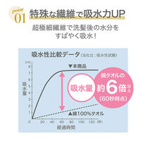 日繊商工 吸水ヘアターバン 吸水美神 ブルーグリーン 545185 1個（直送品）