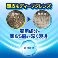 h&s グリーンゼラニウム シャンプー つめかえ超特大2.8倍 P&G
