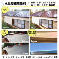 カンペハピオ 水性シリコン遮熱屋根用 ホワイト 0.7L 377654011007 1個（直送品）