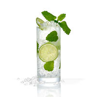 ライクイット 製氷皿 クラッシュアイス 俺のクラッシュアイスメーカー ホワイト STK-07 日本製 1個