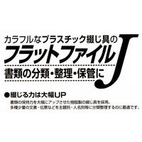ナカバヤシ フラットファイルJ A4-S フF-J80 ブルー 1セット（30冊）