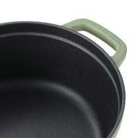 LIV PLUS CAROTE(カローテ) ココット鍋 22cm IH ホーロー アップルグリーン NM-5233 1個（直送品）
