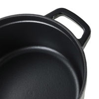 LIV PLUS CAROTE(カローテ) ココット鍋 22cm IH ホーロー鍋 ブラック NM-5231 1個（直送品）