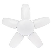 フジマック アルバ 60W PWJ-60AL 1セット（直送品）