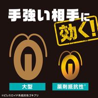 ゴキブリ 駆除剤 置き型 ブラックキャップ フィットタイプ 1箱（16個入） 殺虫剤 ゴキブリ退治 除去 アース製薬