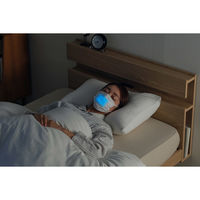 アイリスオーヤマ ナノエアー うるおい保水ぬれマスク プリーツタイプ ふつうサイズ3枚入 NWE-PK3 1セット(3枚入)（直送品）