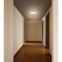 アイリスオーヤマ LED小型シーリングライト パネルライト 電球色SCL190L-P SCL190L-P 1個（直送品）