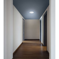 アイリスオーヤマ LED小型シーリングライト パネルライト 昼光色SCL95D-P SCL95D-P 1個（直送品）