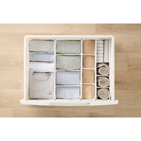 アイリスオーヤマ インナーボックス チェスト用 Mサイズ【ケース販売用】 FIB15M ホワイト 1個（直送品）